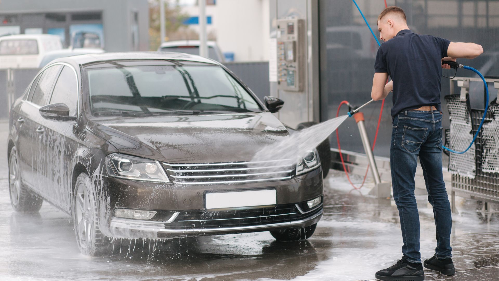 10 Easy Steps to a Clean Car and a Fresh-Smelling Dog