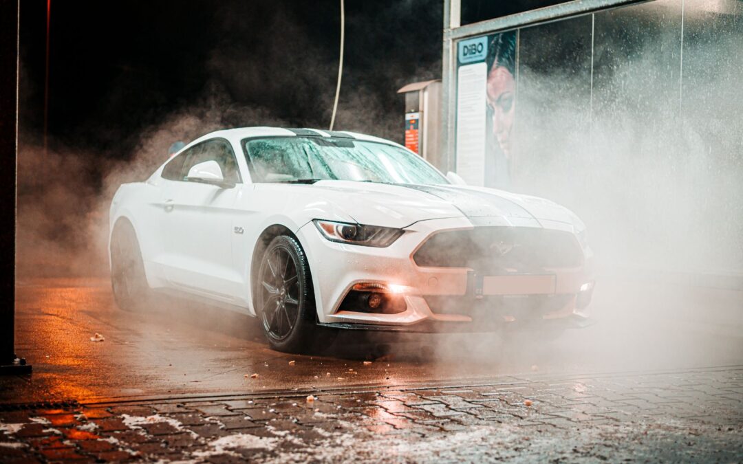 10 Must-Know Facts About Using a Car Wash with a Dog Wash