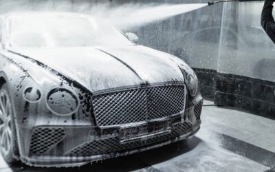 10 Reasons Why a Car Wash and Dog Wash Go Hand-in-Hand