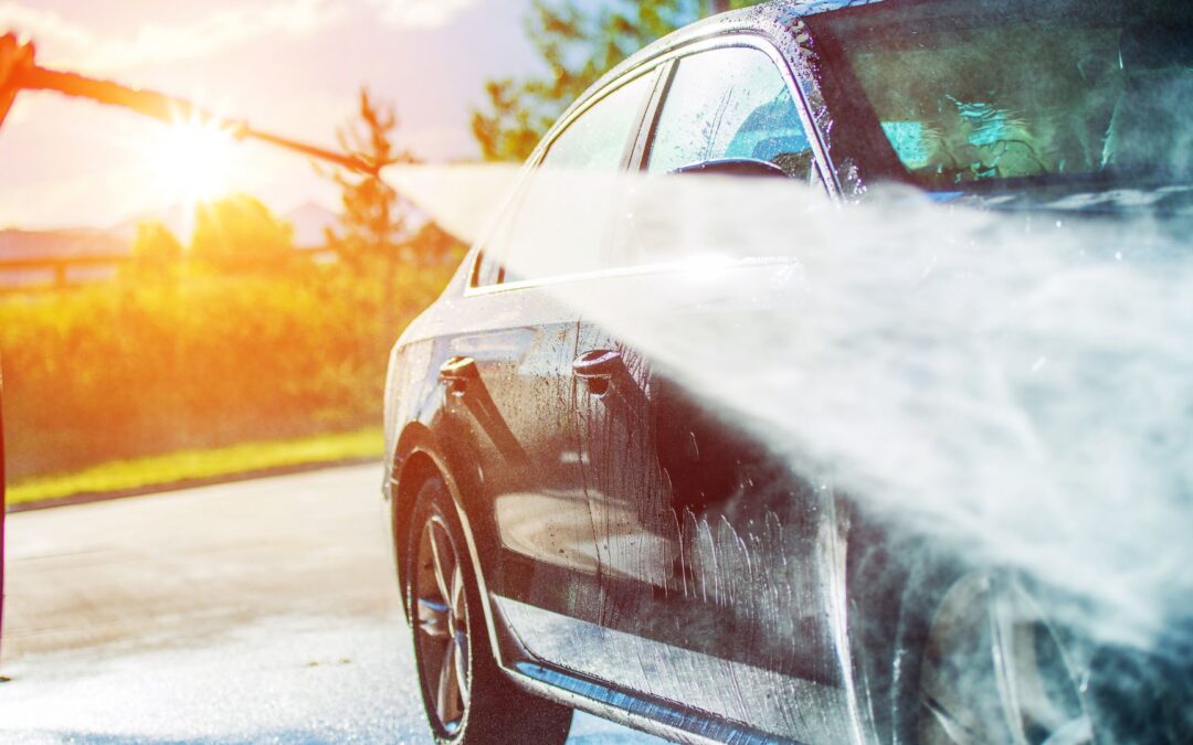 12 Reasons Why Dog-Friendly Car Washes Are a Game Changer