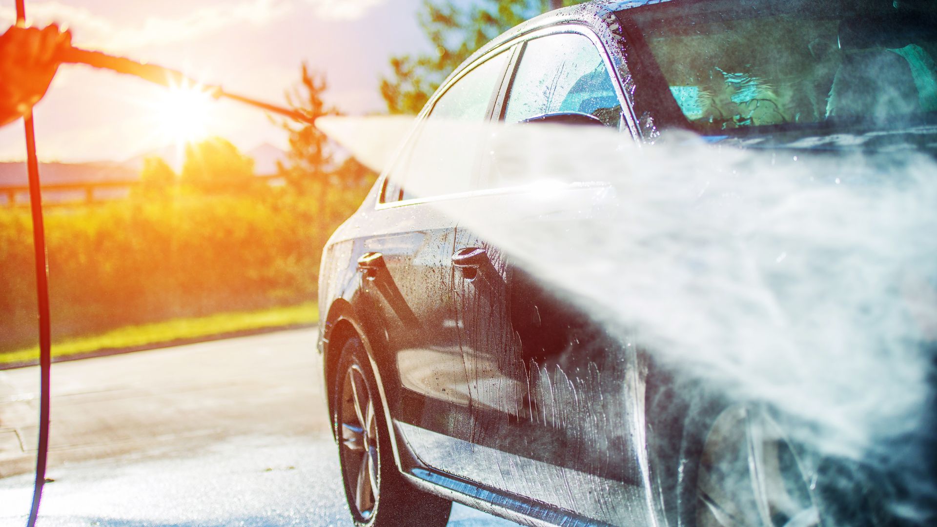 12 Reasons Why Dog-Friendly Car Washes Are a Game Changer