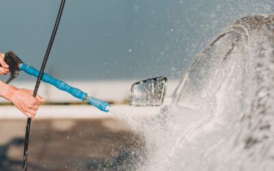 12 Time-Saving Hacks for Car and Pet Owners