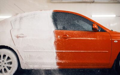 12 Ways to Make Your Car and Dog Wash Experience Stress-Free