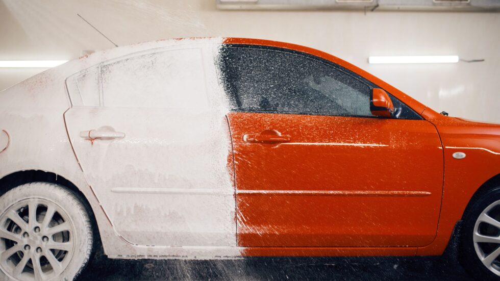 12 Ways to Make Your Car and Dog Wash Experience Stress-Free