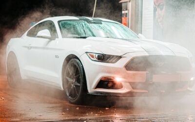 14 Reasons to Choose a Professional Car and Dog Wash Service