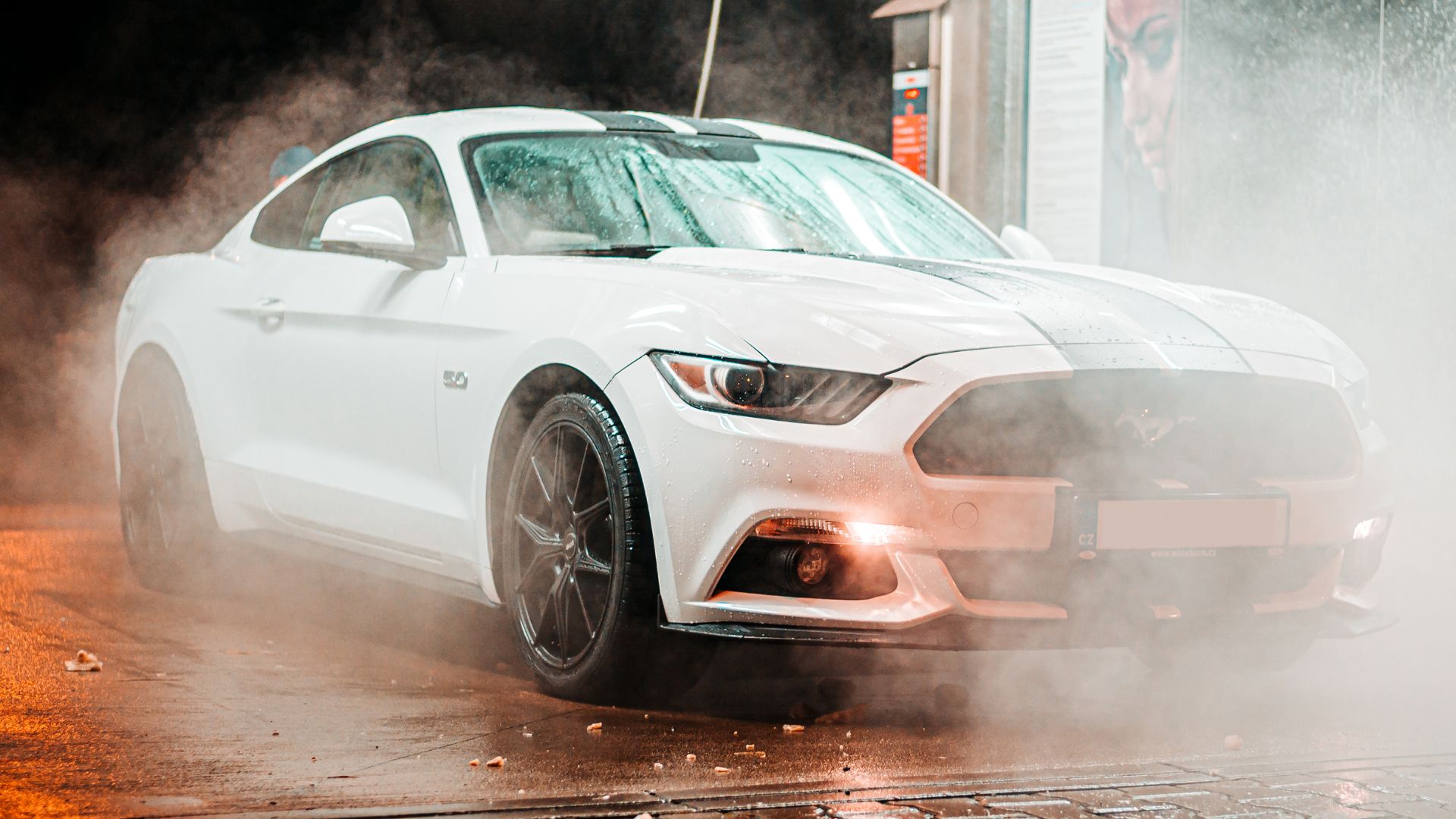 14 Reasons to Choose a Professional Car and Dog Wash Service