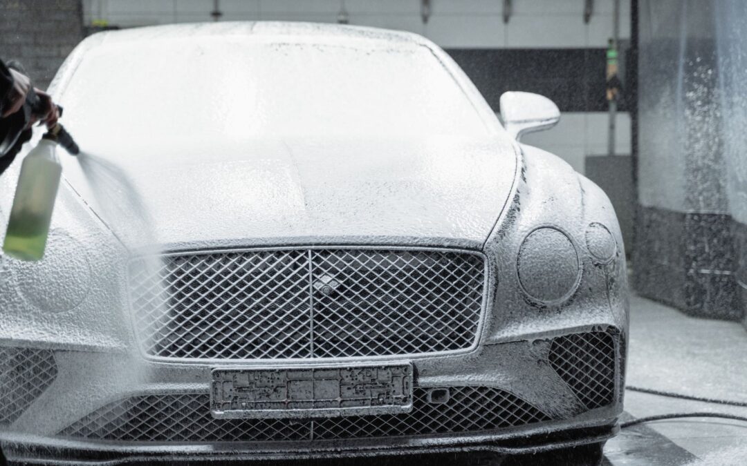 14 Ways a Car Wash and Dog Wash Simplify Your Life