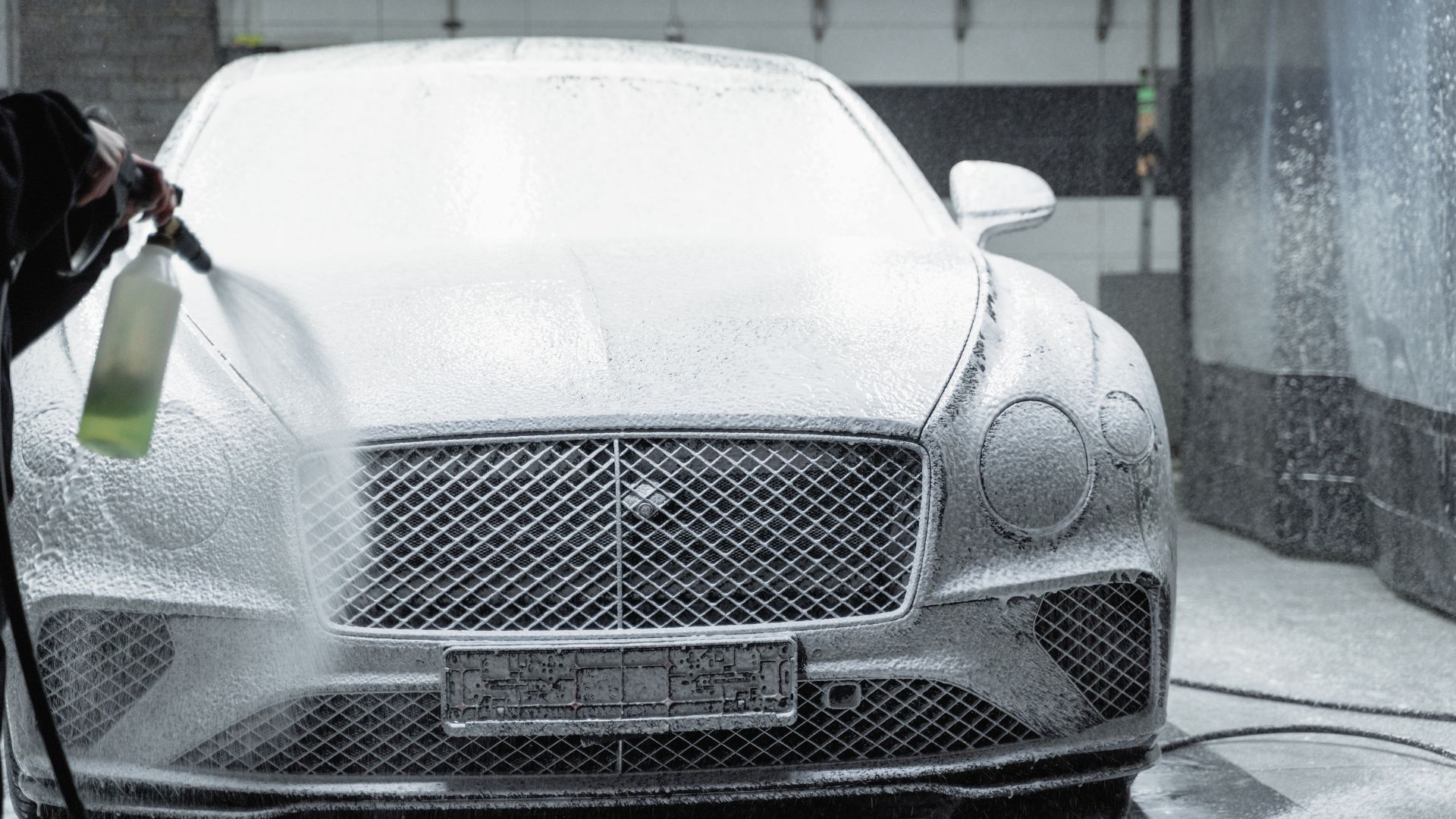 14 Ways a Car Wash and Dog Wash Simplify Your Life