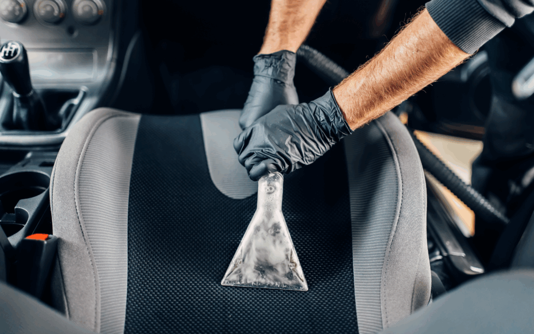 9 Tips to Remove Dog Hair and Doggie Smell from Your Car